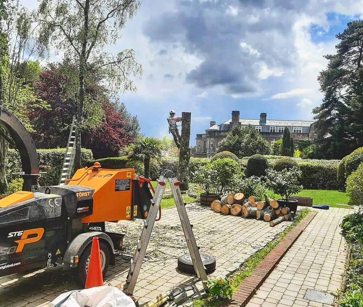 This is a photo of a tree being felled. A tree surgeon is currently removing the last section, the logs are stacked in a pile. Ilkeston Tree Surgeons